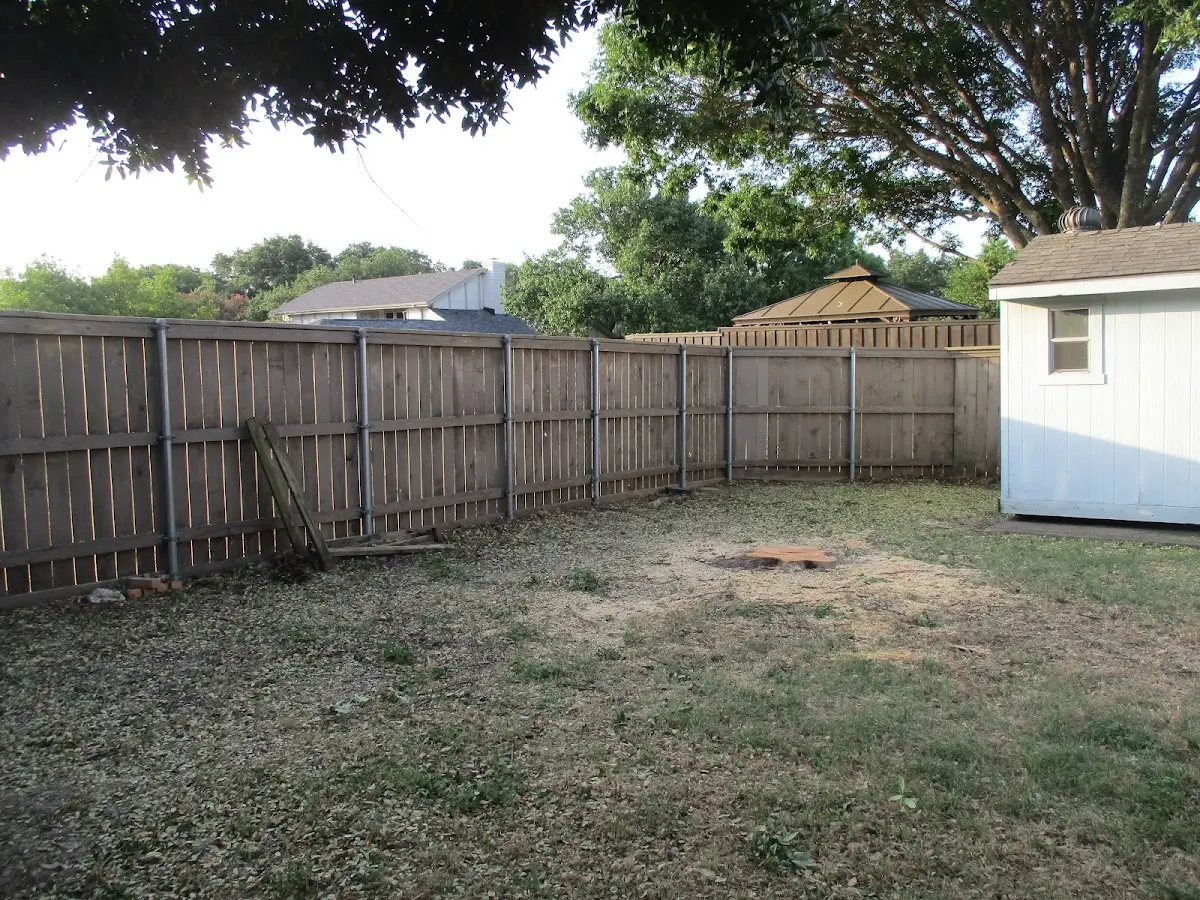 Cleared yard after professional tree removal in Amenia